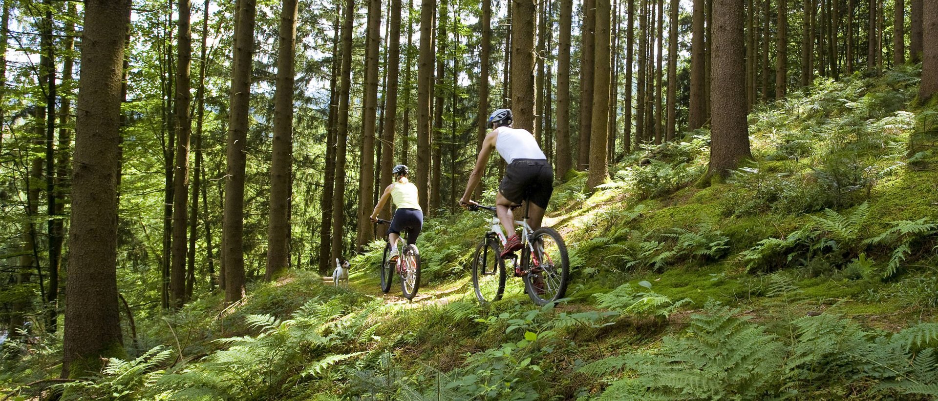 E-Biken in Biberach und andere Aktiverlebnisse